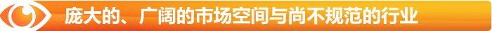 無與倫比的廣闊市場空間與尚不規范的行業